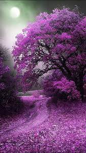 There are many natural purple fabric colors that can be made or mixed and they vary in color and fade note that mixing colors happens in nature all the time; Purpura Purple Beautiful Nature Beautiful Landscapes Nature Photography