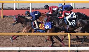 ハイエナのゴッドイーター 連載：4話 原作：god eater 3 作：火星で1,000往復. Qkpipabljgsl3m