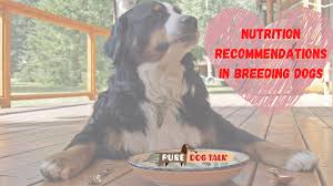 Maybe you would like to learn more about one of these? Podcast Page 3 Pure Dog Talk