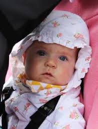 GALLERY: Mid Summer Arts Festival