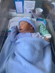 Say hello to five new Dorset arrivals - send your pictures! | Bournemouth  Echo