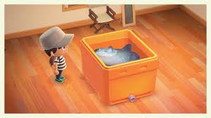 It appears during the summer months, and it is the least valuable member of the shark family, selling for 4,000 bells. New Horizons Ocean Sunfish Album On Imgur