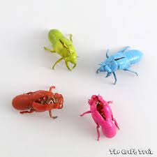 New leaf and animal crossing: Neon Cicada Shells The Craft Train