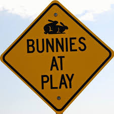 There is not only handicapped parking (and supposedly the bunny ranch has spent several hundred thousand dollars ensuring access throughout the facility for handicapped customers), but there's also. The Notorious Bunny Ranch Brothel Now Accepts Bitcoin Bitcoin News