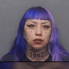 Shocking details of mother-son thwarted school terror attack plan