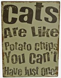 cats are like potato chips you can t have just one color cat signs pet signs crazy cats