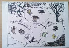 Tierspuren zuordnen kinder / tierspuren zuordnen in 2020 | tierspuren, tierspuren im. 10 Tierspuren Ideen Tierspuren Tierspuren Im Schnee Winterschlaf Tiere