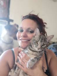 Lost Cat Moxie Found in Tucson Apartment Complex