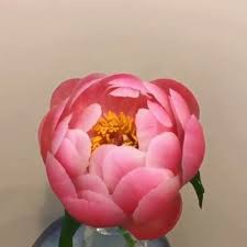 Hours may change under current circumstances Flowers By Adela Home Facebook