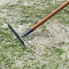 Moos Dauerhaft Entfernen So Wird Ihr Rasen Wieder Schon Garten Moos Entfernen Wintergemuse Anbauen