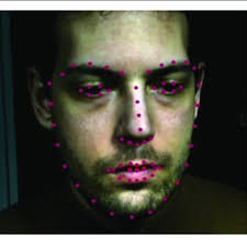 An example of cropped detected face and its tracked facial landmarks...