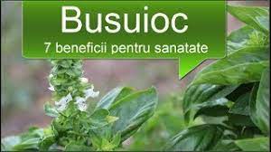 Acest ceai nu este indicat femeilor însărcinate. Ceai De Busuioc Este Contraindicatii Hipertensiune Danihilldesign Com