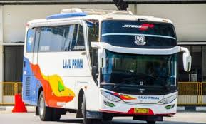 Dimana skin ini mimin terinspirasi keamrin liat bis ini di fanspage laksana bus di facebook. Livery Bus Laju Prima Legacy Livery Bus