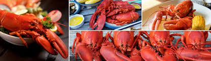 Maine Lobster Vs Canadian Lobster A Comprehensive Review On The Gas The Art Science Culture Of Food