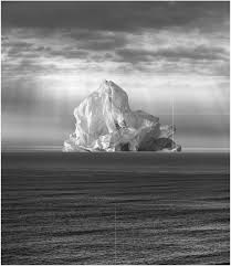 Herman Schwarz Ocampo. Artista, Comisario