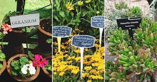Novice gardeners especially need to label their plants. How To Use Plant Labels To Keep Your Garden Organized And 10 Diy Plant Marker Ideas