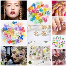 108 pcs dried flowers for resin nail art 62 colors 3d dry flowers for nails mini dried flowers for nail art pressed real natural flower nail art design with tweezer (2 boxes) 4.3 out of 5 stars. Warmfits Dried Flowers For Nails 120pcs Set 3d Real Encapsulated Nail Pressed Flowers For Nail Art Resin Craft Diy Gypsophila Five Petals Flowers Leaves Hydrangea Macrophylla Pattern A Pricepulse