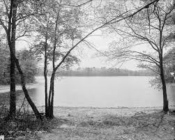 Walden Pond Wikipedia