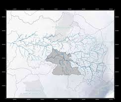 Image result for Eggelingia ligulifolia