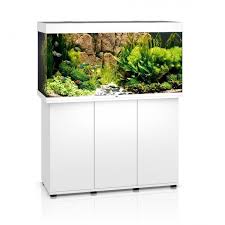 Juwel Rio 300 Litre Aquarium White Aquarium Aquarium Design Tropical Fish Tanks