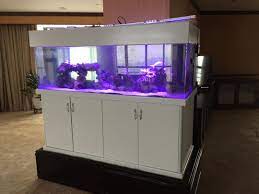 Find all cheap aquariums clearance at dealsplus. Aquarium Manufacturer Malaysia Aquarium Cabinet Aquarium Stand