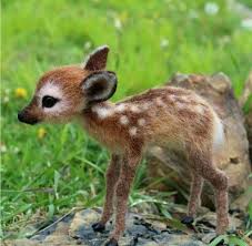 Pin De Muge Tekke Em Pets And Other Critters Animais Bebes Mais Fofos Bichinhos Fofos Animais Bebes