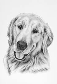 If you are still not too sure about how realistic and awesome animal pencil drawings can be, then all you have to do is look at the evidence here. 1001 Ideas And Inspiration On How To Draw Animals