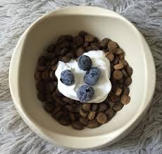 For such a simple food, pasta is frequently misunderstood. 5 Dog Food Toppers To Help Boost Your Pup S Health This Dogs Life