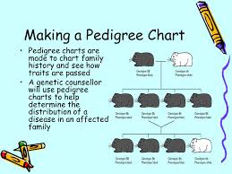 Which members of the family above are afflicted with huntington's disease? Making A Pedigree Chart Ppt Download