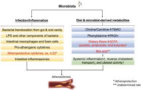 Instanța europeană a decis că statele uniunii europene au dreptul de a introduce taxe, dar că modul de implementare ales de autoritățile române a fost. Ijms Free Full Text Mutual Interplay Of Host Immune System And Gut Microbiota In The Immunopathology Of Atherosclerosis Html