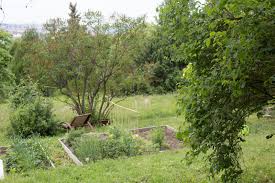 Quentin bacon/barefoot contessa back to basics. Garten Fraulein Der Garten Blog