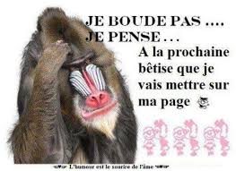 Résultat de recherche d'images pour "bisous humour"
