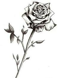Une Belle Rose Single Rose Tattoos Rose Stem Tattoo White Rose Tattoos