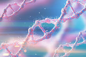 Function of dna (deoxyribonucleic acid) contains sections called genes that code for proteins. What Is Dna Live Science