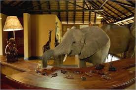 We did not find results for: Zambia Elefantes En El Hotel