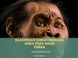 Berikut ini adalah rincian soal pg sejarah kelas 10 sma/ma semester 1. Video Klasifikasi Ilmiah Manusia Jawa Pada Masa Purba Rifaifajrin Com