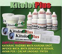 Apakah mata kucing bisa disembuhkan dengan obat mata manusia? Burung Anda Terkena Snot Ini Dia Pengobatan Alternatif Herbal Dan Medis Om Kicau