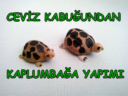 Ceviz Kabugundan Sus Kaplumbaga Yapimi Kaplumbaga Yaratici Fikirler Yaratici
