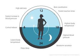 circadian system chroma therapy light chroma therapy light