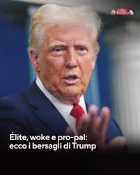 Harvard. E poi Columbia, Princeton, Penn, Northwestern, Brown, Cornell.  Sono le università contro cui Donald Trump ha scatenato un attacco che non  ha precedenti nella storia americana. L'obiettivo è sottoporre a un