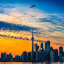 ‫بلیط تهران تورنتو ترکیش از www.eligasht.com‬‎