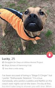 Pin On Little Black Board Of Adoption Promotions