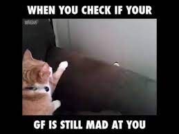 Three guys go on a ski trip together. Pin On Relationship