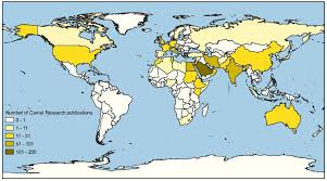 You're up with the roosters. Animals Free Full Text Effect Of Research Impact On Emerging Camel Husbandry Welfare And Social Related Awareness Html