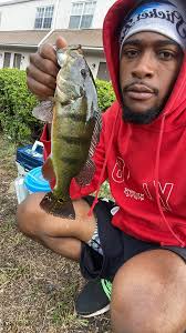 Caught 8 peacock bass