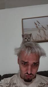 Levi Hall (@will.i.am_hall) • Instagram photos and videos