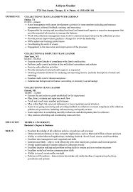 collections team leader resume samples