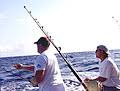 Fishing reports from south carolina. Scdnr Saltwater Fishing Trends