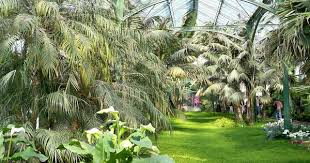 Wilhelma Botanical Garden Zoo Stuttgart De Zoo Places Around The World Tropical