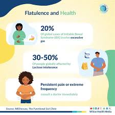 Image result for Flatulence